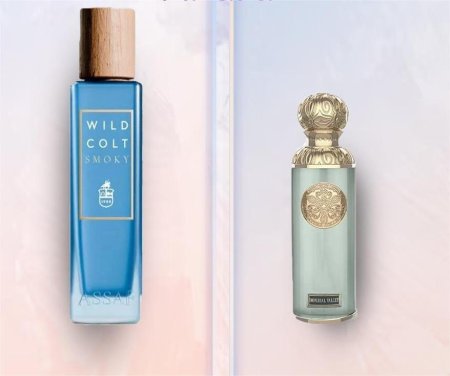 Assaf Wild Cult Sport perfume بديله الاصلي: Assaf Wild Cult Sport perfume